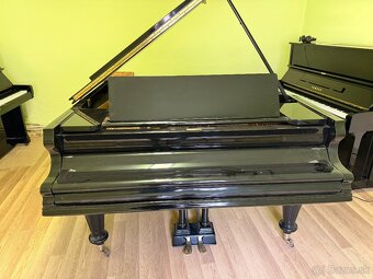 AUGUST FORSTER 170 - 3