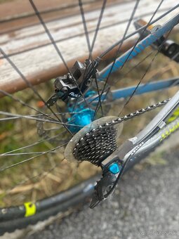 Kellys whip 50 - 3