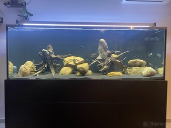 WRGB led svetlo na akvárium 100- 200cm/180w - 3