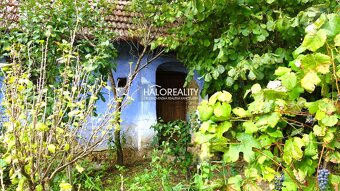 HALO reality - Predaj, rodinný dom Borský Mikuláš - EXKLUZÍV - 3