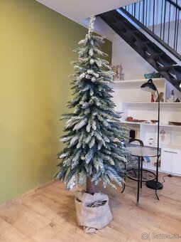 Predám krásny vianočný stromček - 3