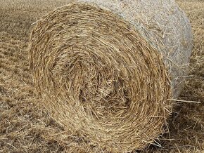 Slama na predaj - 3
