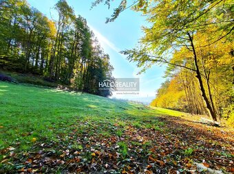 HALO reality - Predaj, pozemok 4955 m2 Považská Bystrica - 3