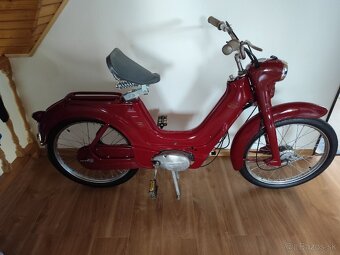 Jawetta 551 - 3