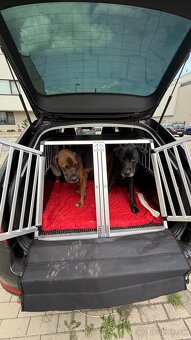 Veľký prepravný box pre psa - 3