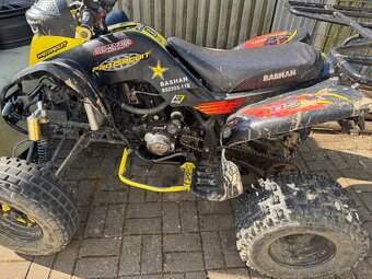Bashan 250 - 3