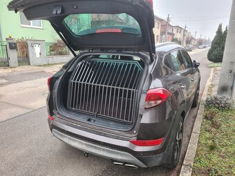 Auto klietka pre velke plemeno - 3