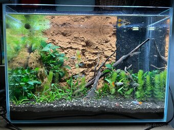 Akvárium - 3