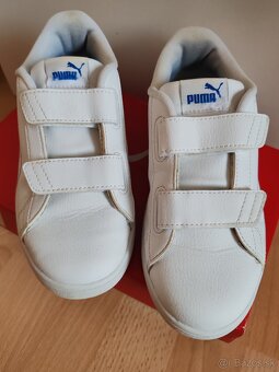 Botasky Puma v. 35 - 3
