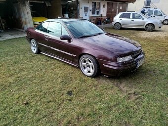 Calibra - 3