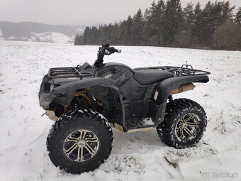 Yamaha Grizzly 700 - 3