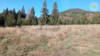 HALO reality - Predaj, rekreačný pozemok Pribylina - 3