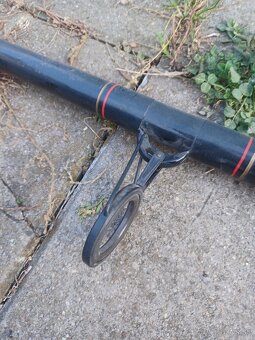 Kaprársky prút - 3