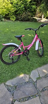 Dievčenský bicykel 20'' - CTM - 3