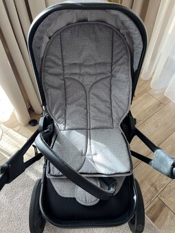 Cavoe Axo - 3