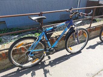 AUTHOR BASIC horský bicykel - 3