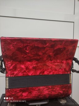 Delicia Carmen 96 basov - 3