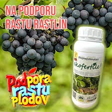 FENOMENÁLNY ELIXÍR PRE MAXIMÁLNE VÝNOSY - 3