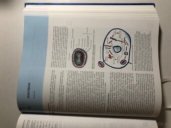 Lekárska mikrobiológia - 3