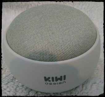 GOOGLE ASSISTANT NEST MINI + KIWI - 3
