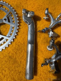 Sadu Campagnolo Victory - 3