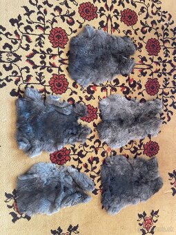 Predalm tieto kožuchy - 3