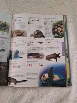 Živočíchy detská encyklopédia - 3