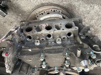 Hlava a prsia 1.2 HTP - 3