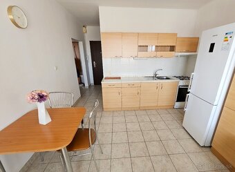 Priestranný 1 izbový byt na prenájom - 3