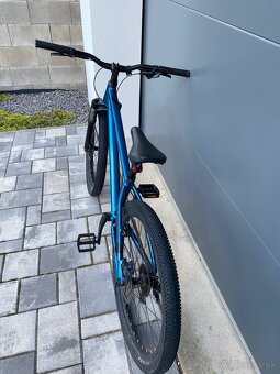 Kellys whip 50 2021 - 3