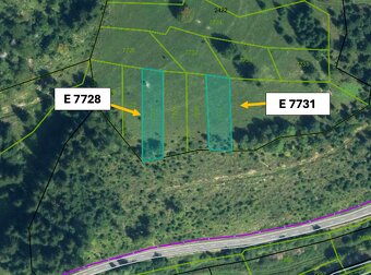Liptovské Revúce 7.964 m2 LESY a POĽNOHOSPODÁRSKA pôda - 3