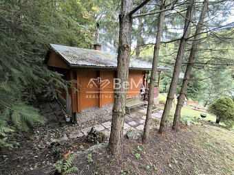 Rekreačná chata s veľkým pozemkom v lese - 3
