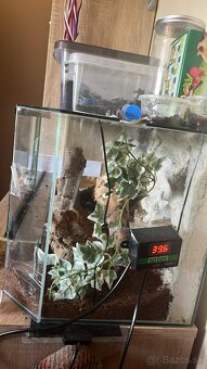 Terarium 70x30x30 - 3