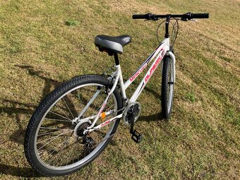 Olpran Mercury 29” - 3