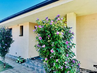 PRIESTRANNÝ BUNGALOV S GARÁŽOU NA PEKNOM ROŽNOM POZEMKU - 3