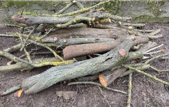 Drevo na údenie - 3