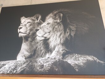 Predám obraz fotoplatno - 3