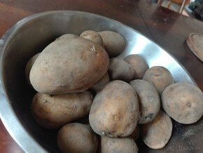 Predám konzumné BIO zemiaky odroda Soraya - 0,6 Eur/kg - 3