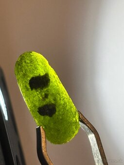 Vltavín s unikátnymi vnútornými inklúziami 3,97 g - 3