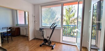 3-izbový byt na prenájom Kpt.Nálepku,zariadený,voľný - 3