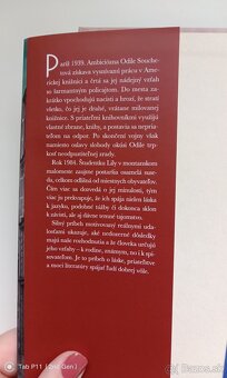 Janet Skeslien Charles - Parížska knižnica - 3
