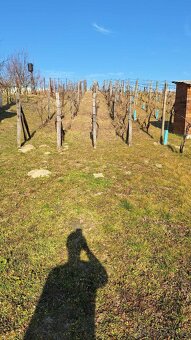 PREDAJ - poschodová chata s pivnicou a vinicou - 3