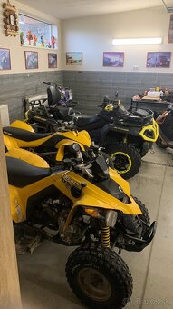 Can am ds 250 tp spz - 3