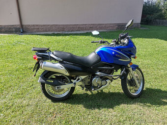 Suzuki XF 650 Freewind - 3