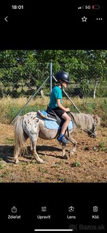 PÁR MINI PONÍKOV - 3