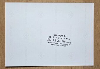 DTM 1988 BMW Motorsport originální tisková fotografie - 3