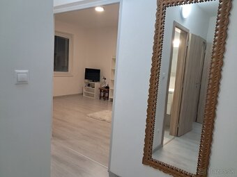 Prenajmem 1 izbový byt s balkónom - 3