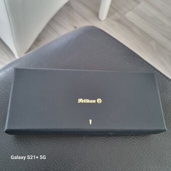 Predam pero Pelikan - 3