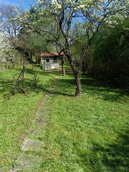 Predaj záhrady Tomáš R. Š. - 3