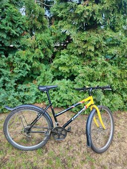 Lincoln berenica - 3